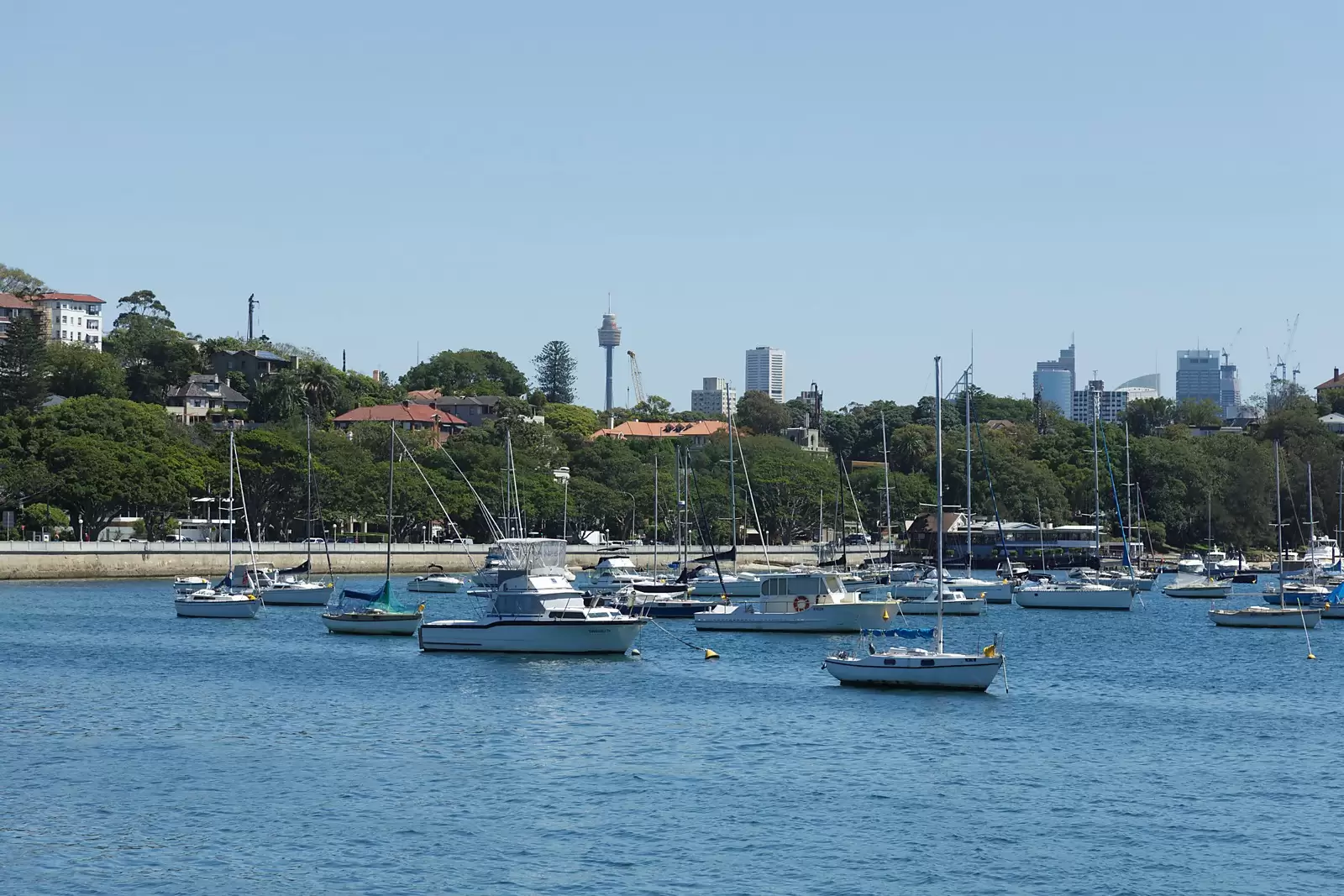 3/27 William Street, Rose Bay Sold by Sydney Sotheby's International Realty - image 15