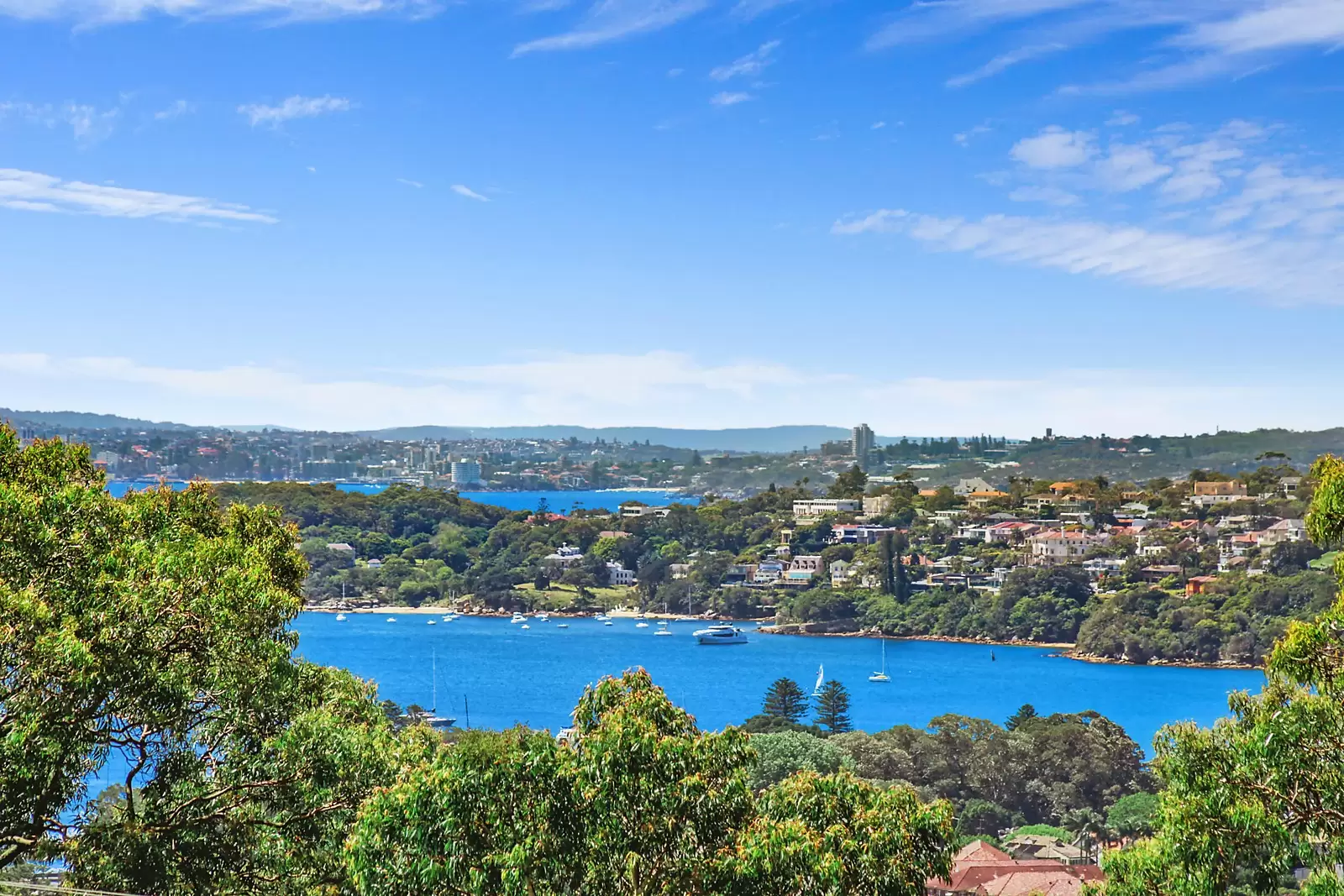 144 Victoria Road, Bellevue Hill Sold by Sydney Sotheby's International Realty - image 5