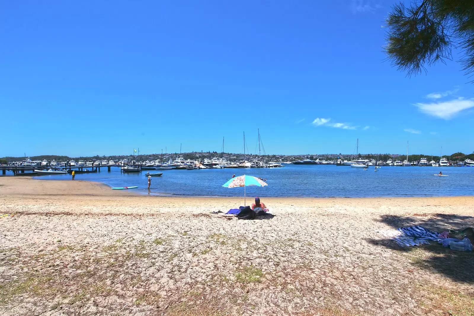 3/1A Longworth Avenue, Point Piper Sold by Sydney Sotheby's International Realty - image 11