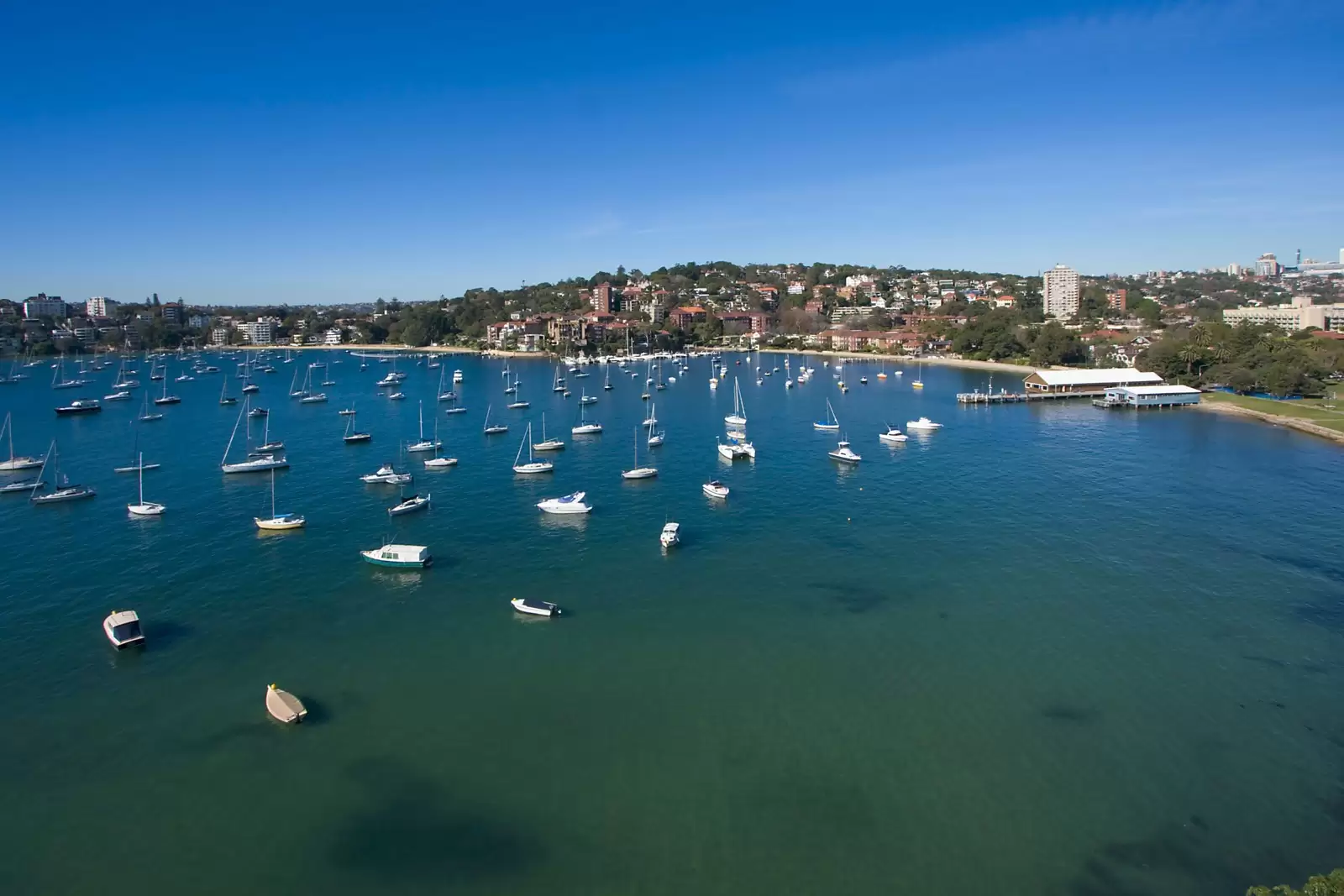 24 Attunga Street, Woollahra Sold by Sydney Sotheby's International Realty - image 24
