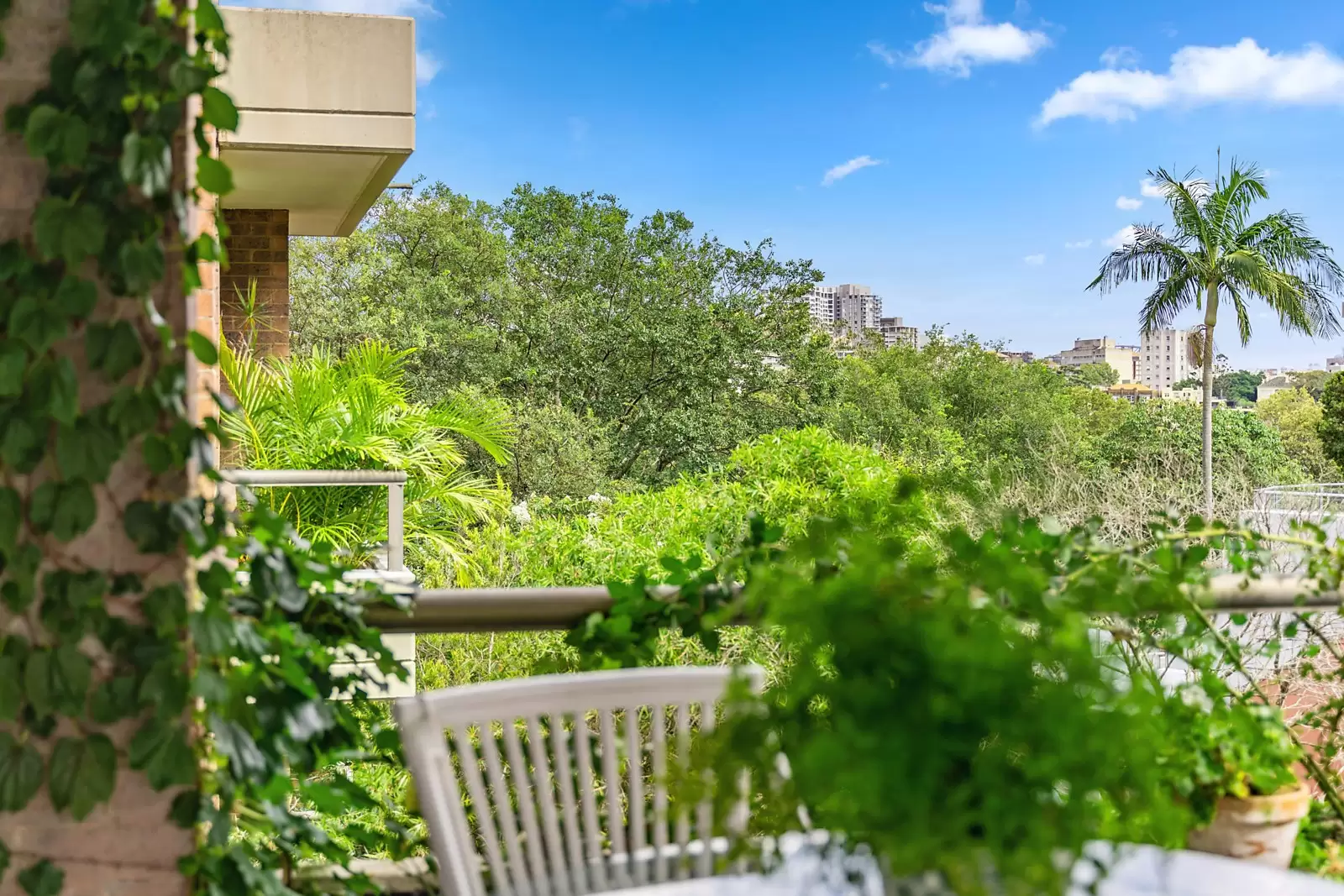 8/1-3 Mona Lane, Darling Point Sold by Sydney Sotheby's International Realty - image 3