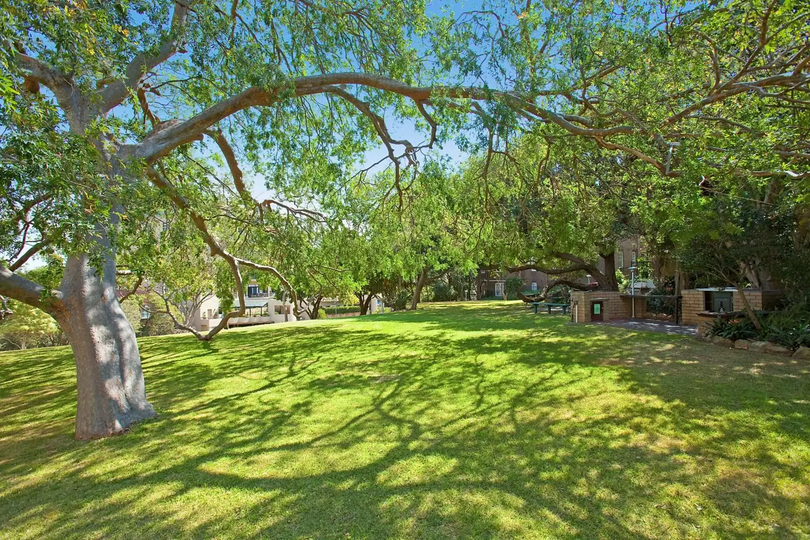 10D/3 Darling Point Road, Darling Point Sold by Sydney Sotheby's International Realty - image 11