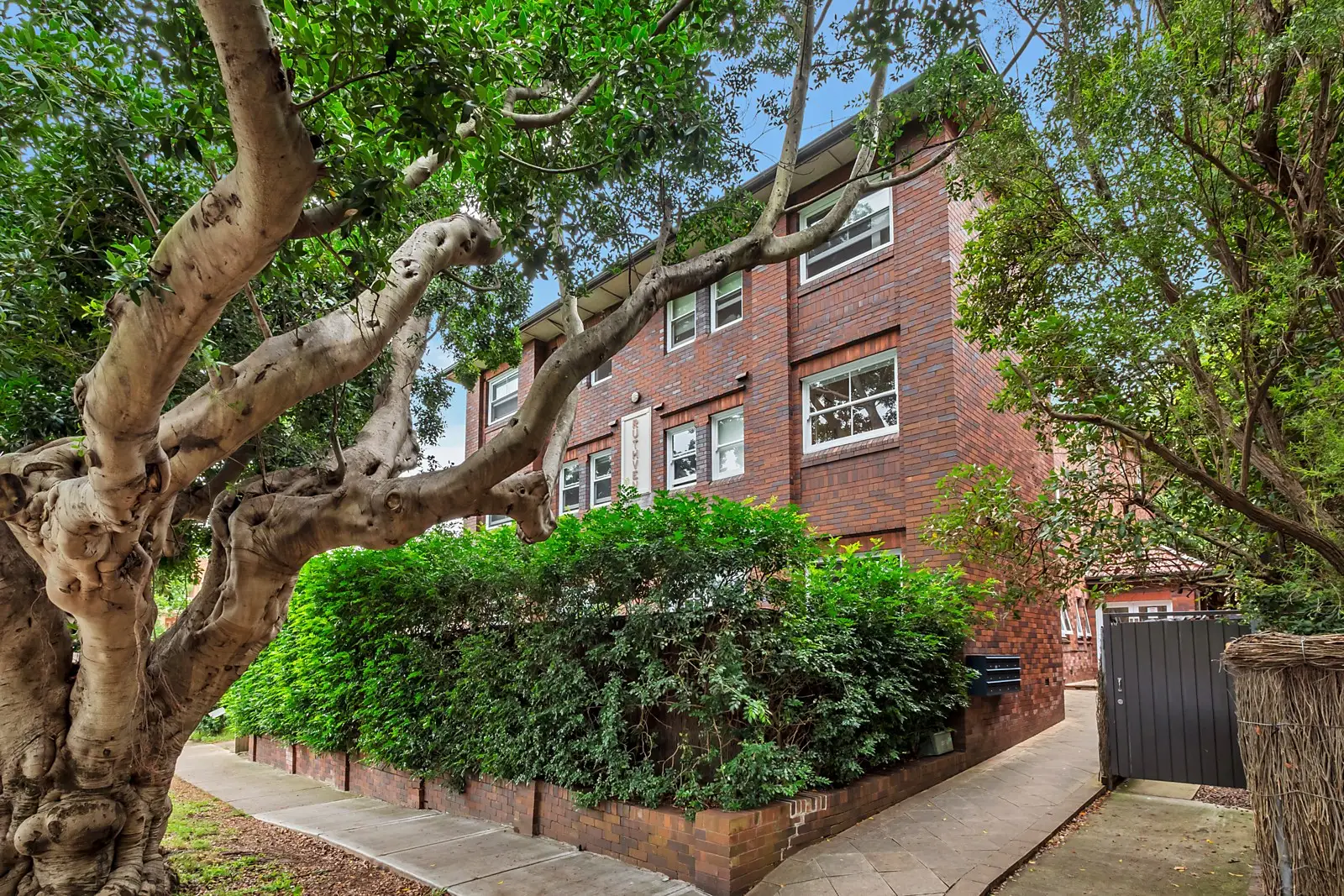 8/21 Waratah Avenue, Randwick Sold by Sydney Sotheby's International Realty - image 1