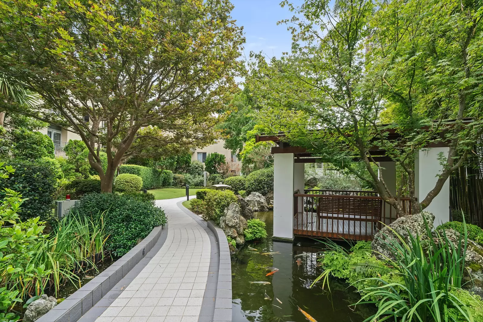 6/51 William Street, Double Bay Leased by Sydney Sotheby's International Realty - image 13