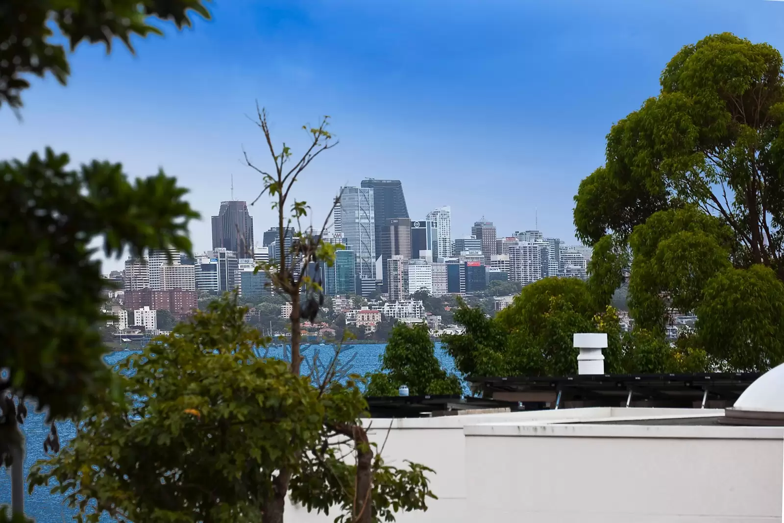 5/91 Wolseley Road, Point Piper Sold by Sydney Sotheby's International Realty - image 13
