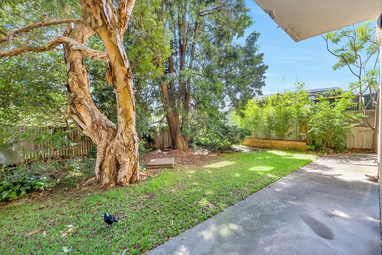 294 & 296 Birrell Street, Bondi Sold by Sydney Sotheby's International Realty - image 8