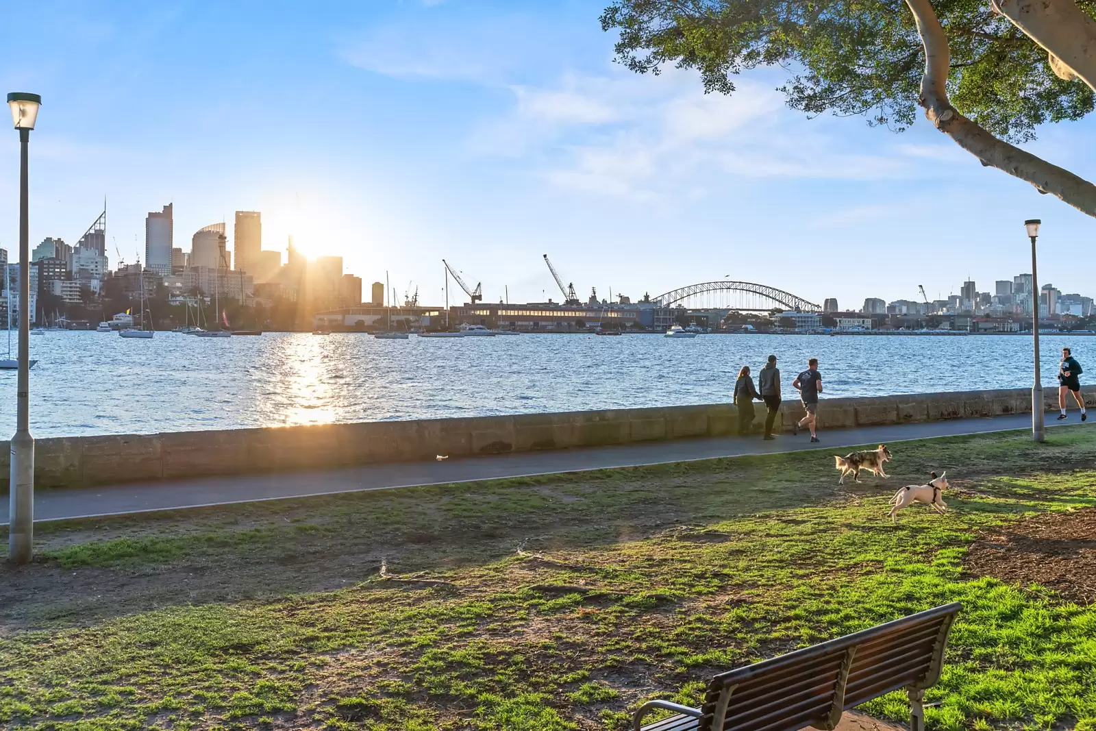 7/54 Darling Point Road, Darling Point Sold by Sydney Sotheby's International Realty - image 14