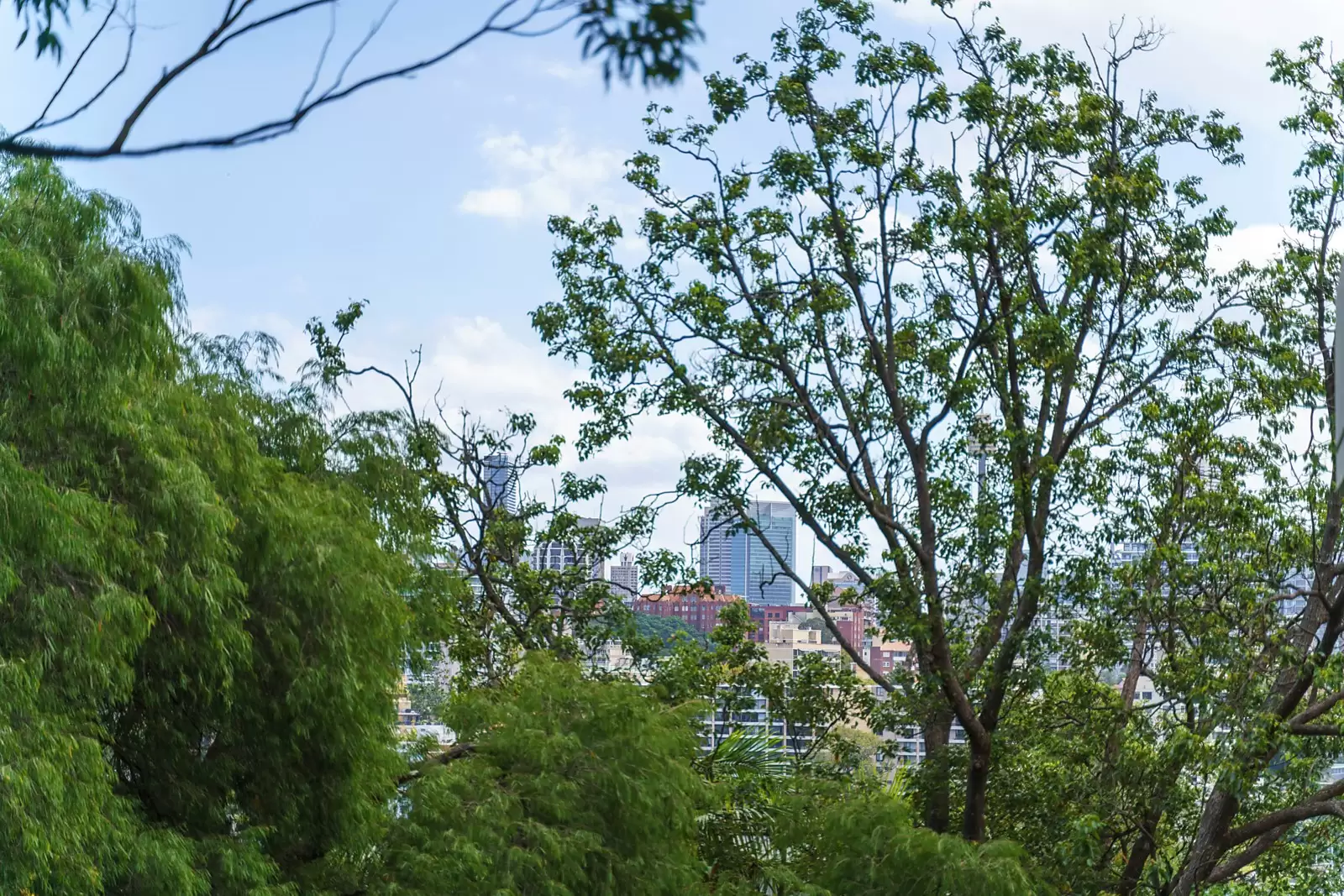 7/54 Darling Point Road, Darling Point Sold by Sydney Sotheby's International Realty - image 3