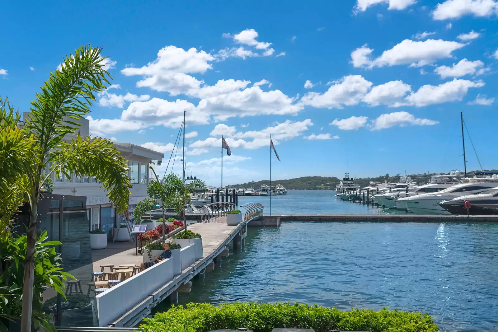 3/585 New South Head Road, Rose Bay Sold by Sydney Sotheby's International Realty - image 12