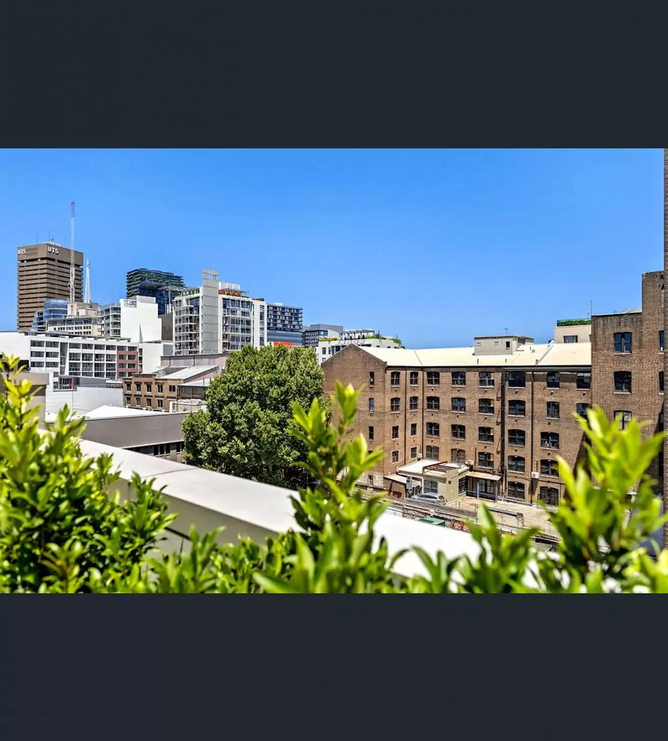 506/2-12 Smail Street, Ultimo Sold by Sydney Sotheby's International Realty - image 6