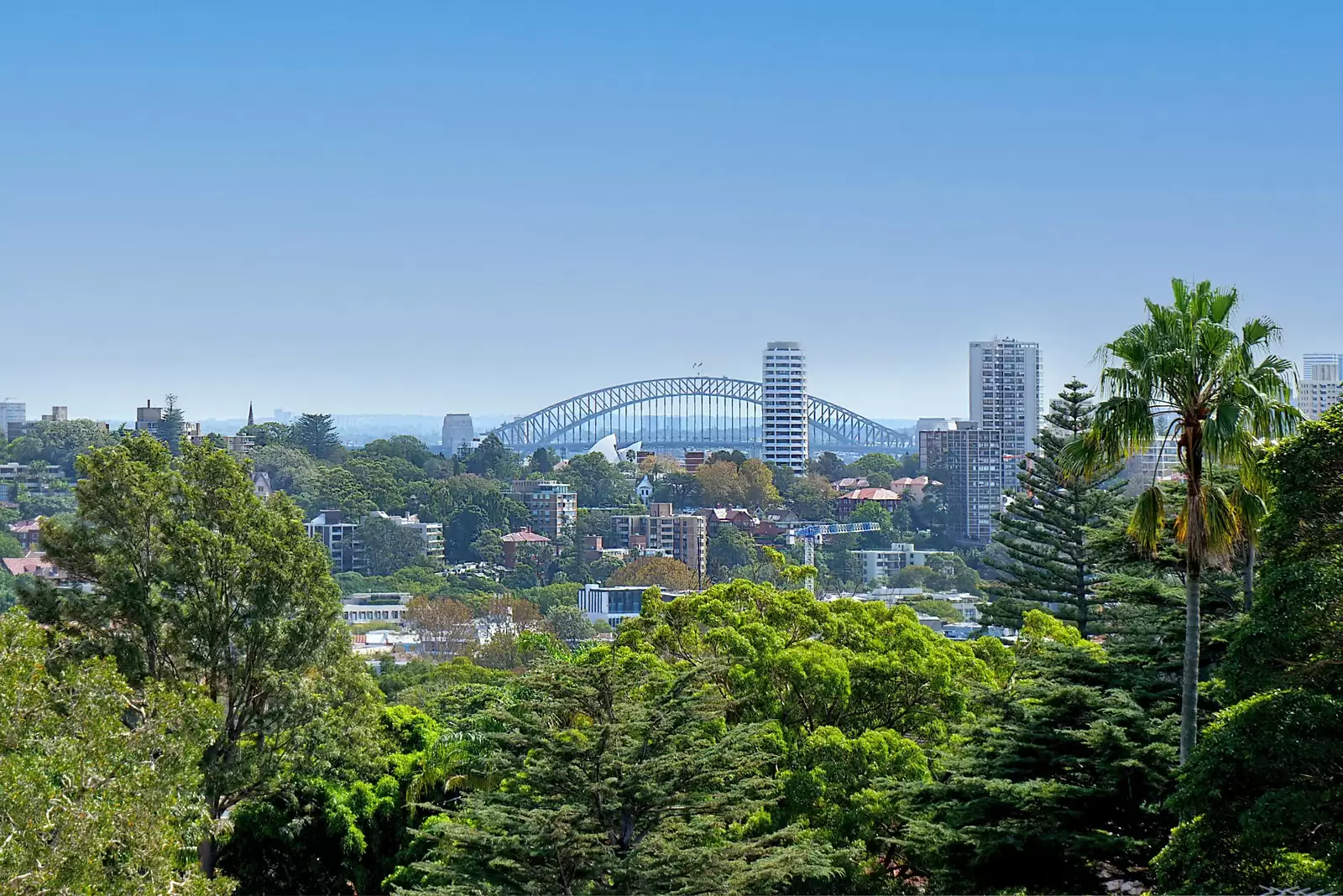 31 Streatfield Road, Bellevue Hill Sold by Sydney Sotheby's International Realty - image 17