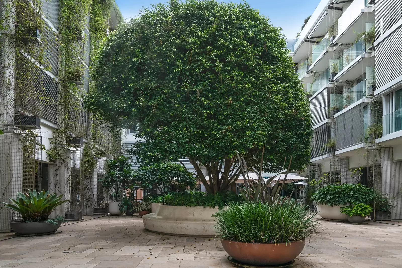 231/180-186 Campbell Parade, Bondi Beach Sold by Sydney Sotheby's International Realty - image 8