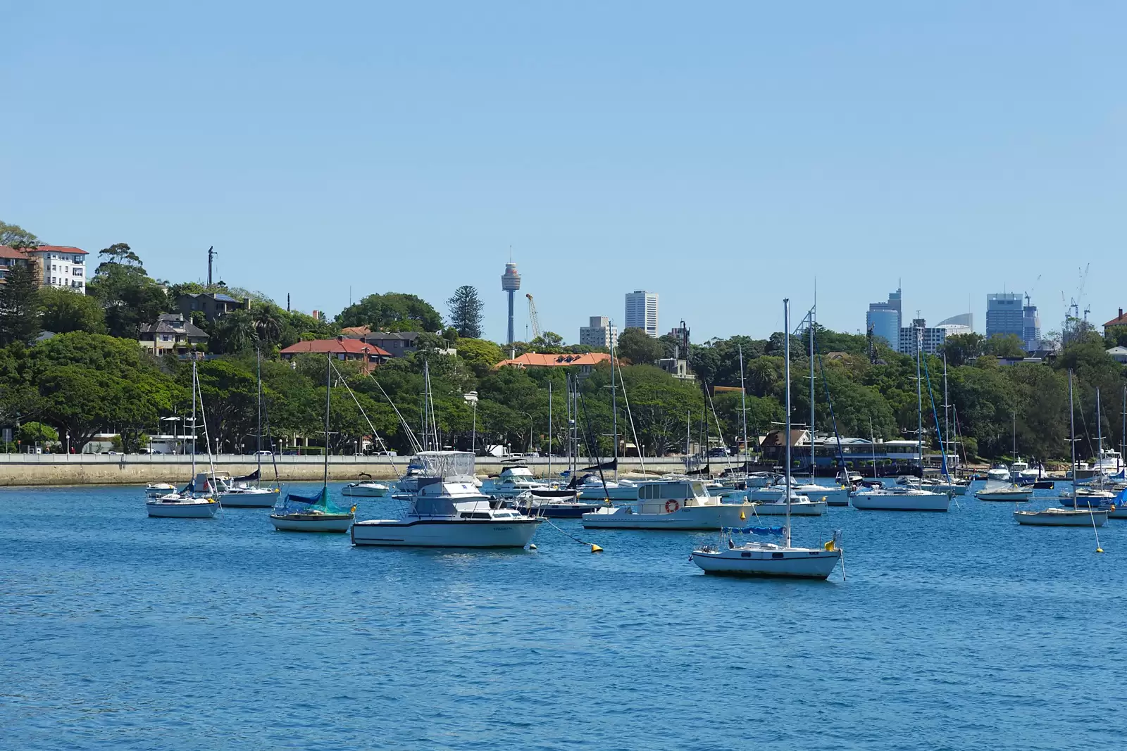 1/4 Albemarle Avenue, Rose Bay Sold by Sydney Sotheby's International Realty - image 20