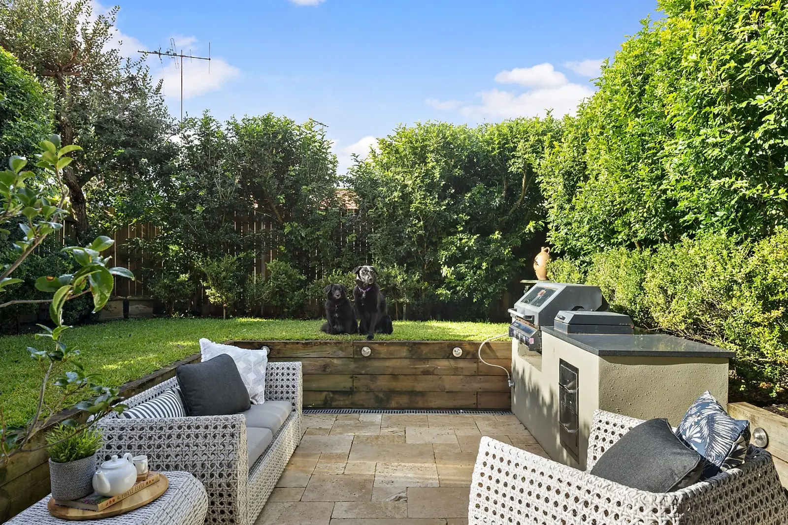 11 Alma Avenue, Enmore Sold by Sydney Sotheby's International Realty - image 2