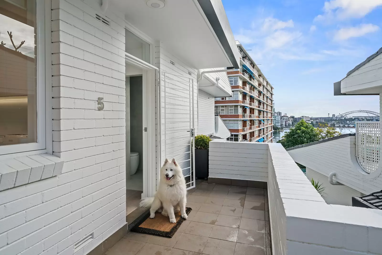 5/38 Darling Point Road, Darling Point Sold by Sydney Sotheby's International Realty - image 15