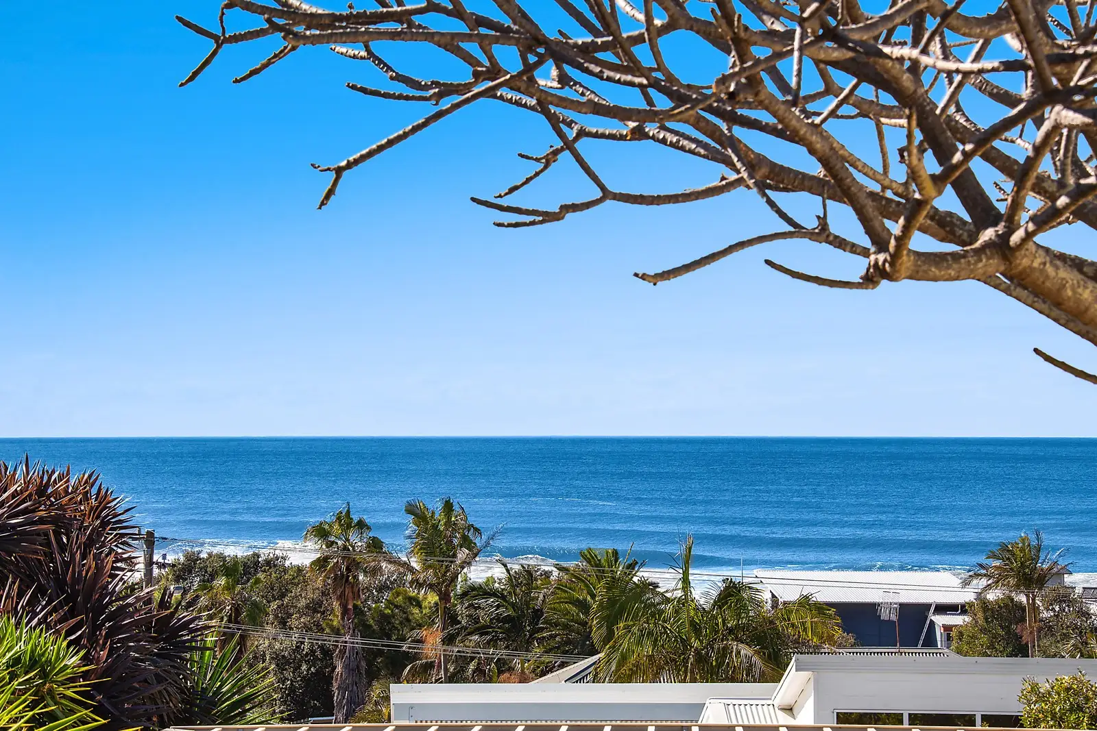 Magnolia, Wamberal Sold by Sydney Sotheby's International Realty - image 1