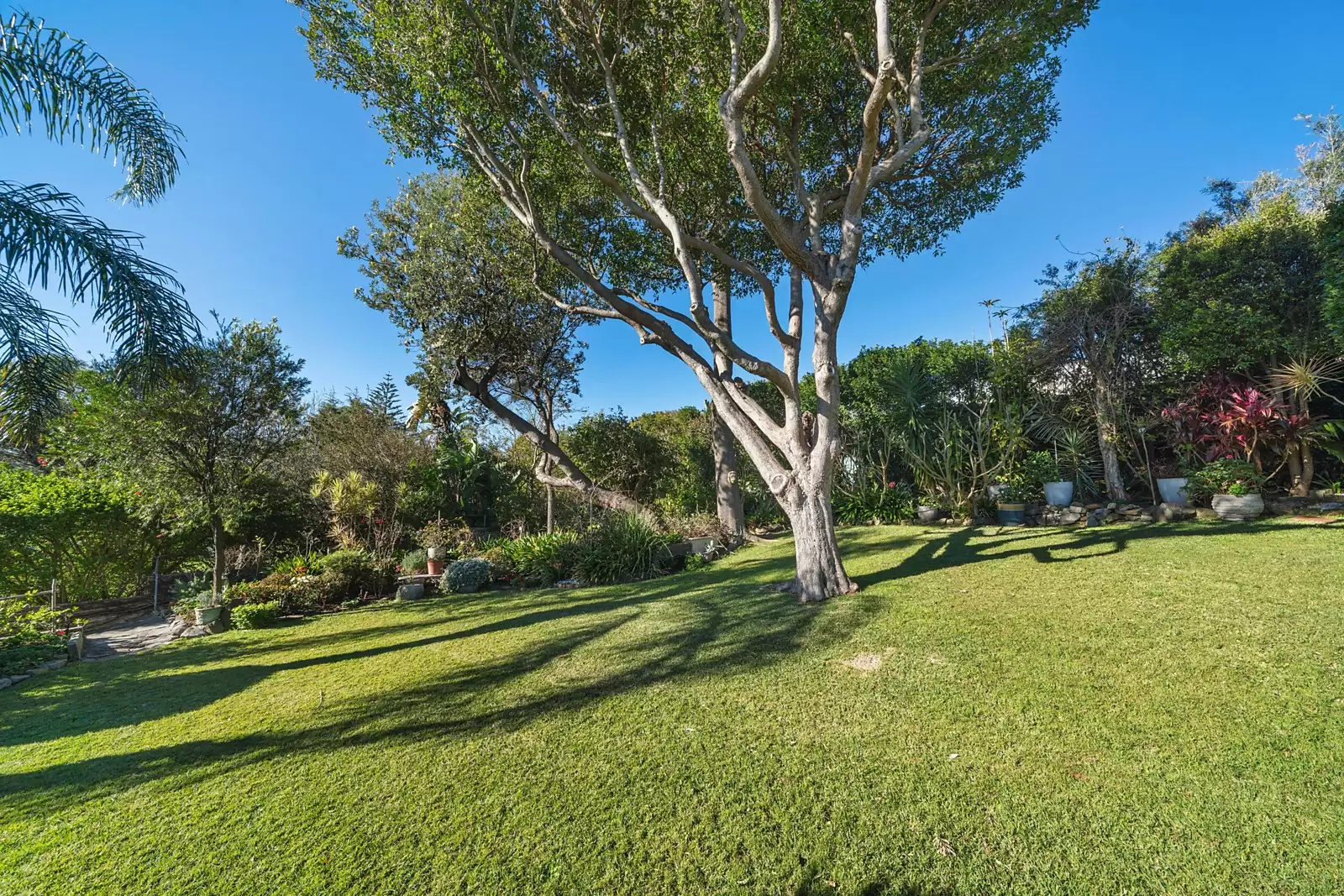 35 New South Head Road, Vaucluse Sold by Sydney Sotheby's International Realty - image 5
