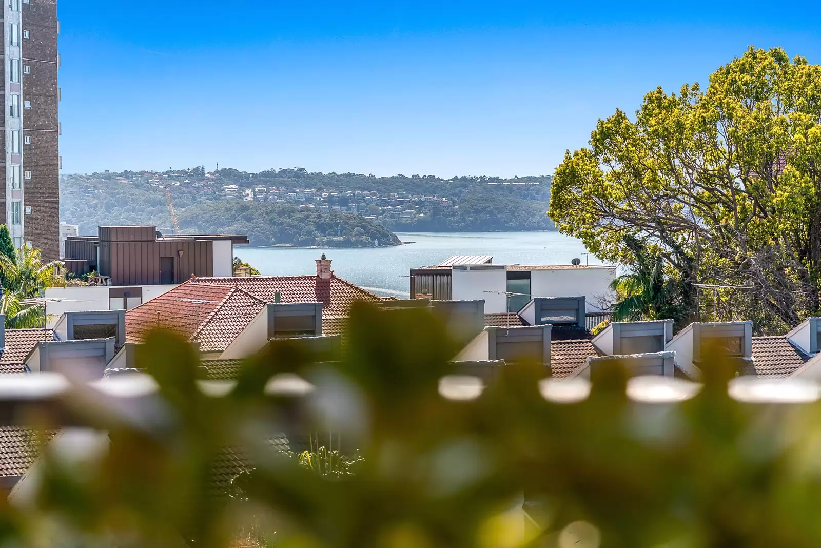 31/16-18 Rosemont Avenue, Woollahra Sold by Sydney Sotheby's International Realty - image 5