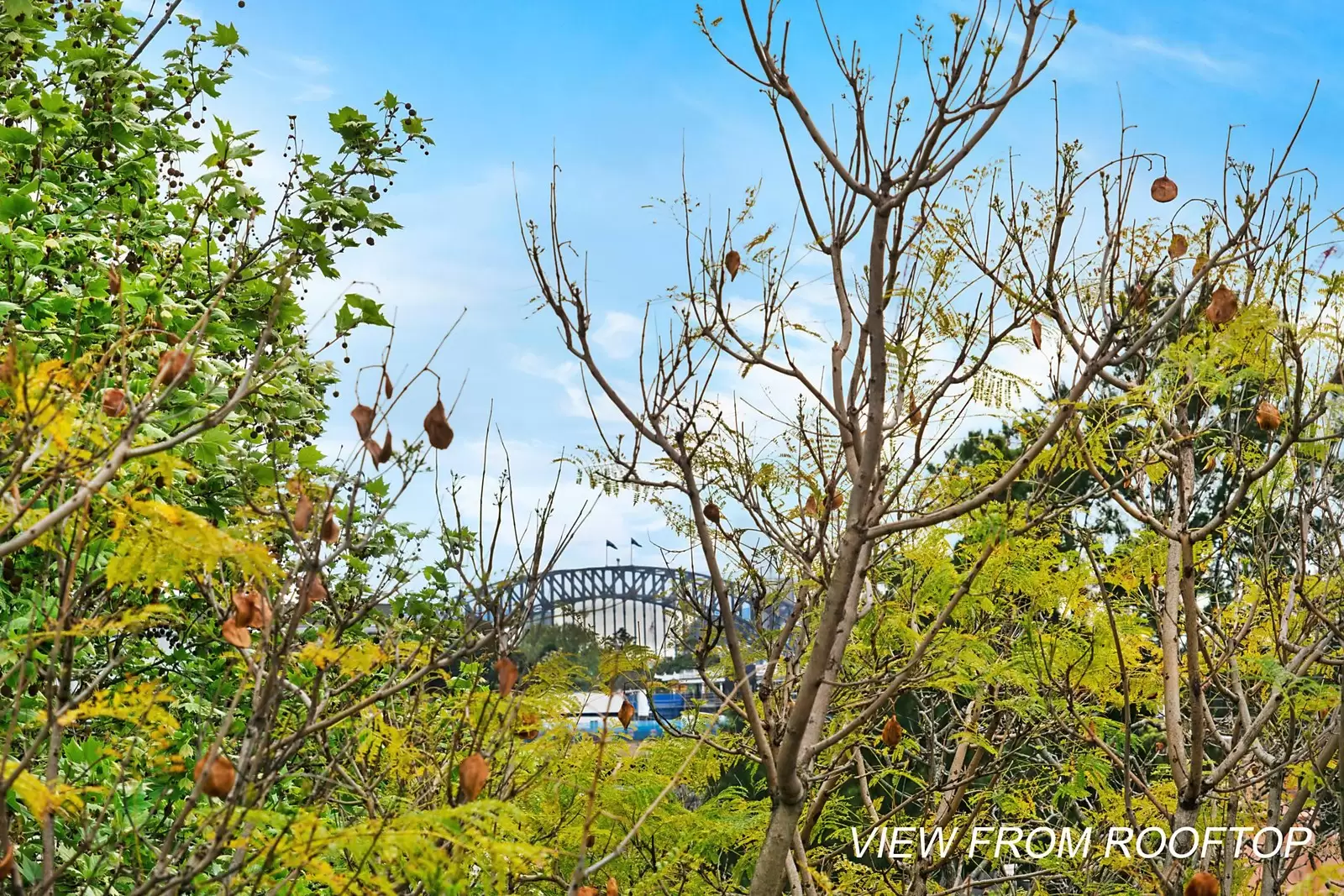 5/173-175 Cathedral Street, Woolloomooloo Sold by Sydney Sotheby's International Realty - image 6