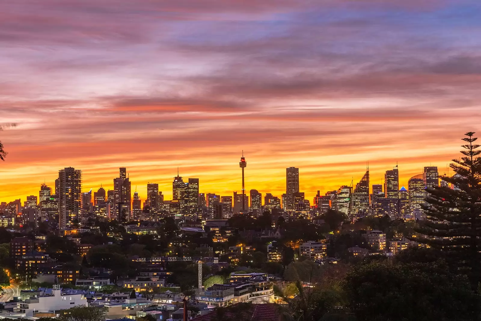 20 Bulkara Road, Bellevue Hill Sold by Sydney Sotheby's International Realty - image 26