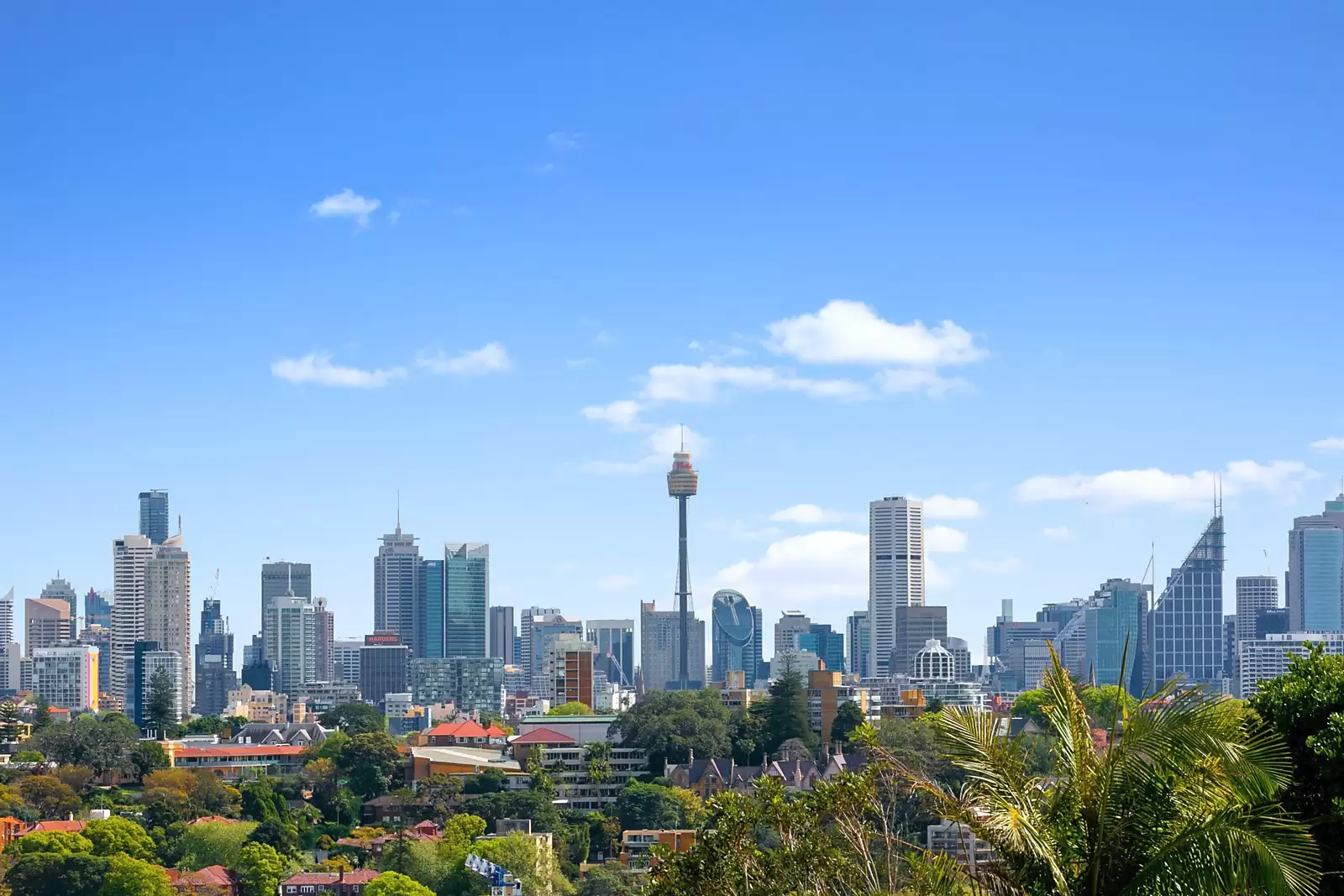 20 Bulkara Road, Bellevue Hill Sold by Sydney Sotheby's International Realty - image 8