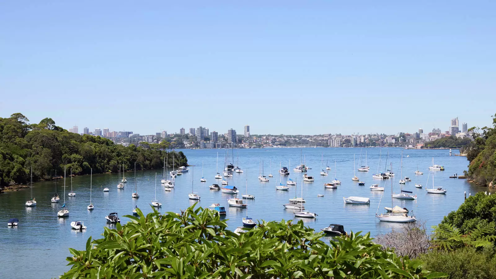 8 Curlew Camp Road, Mosman Leased by Sydney Sotheby's International Realty - image 6