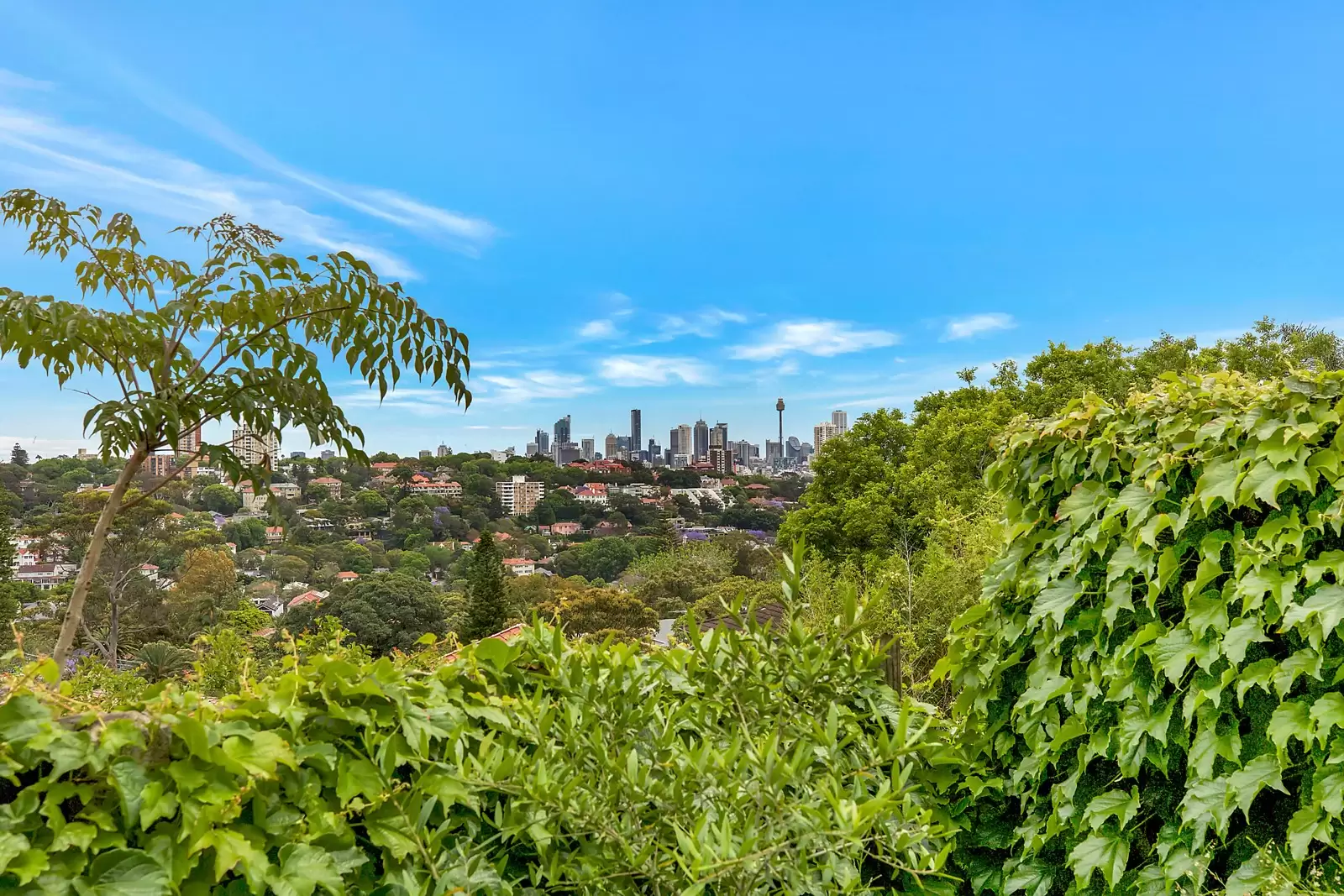 86 Bellevue Road, Bellevue Hill Sold by Sydney Sotheby's International Realty - image 8