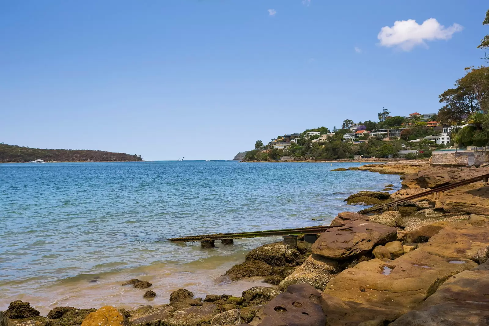 51 Parriwi Road, Mosman Sold by Sydney Sotheby's International Realty - image 21