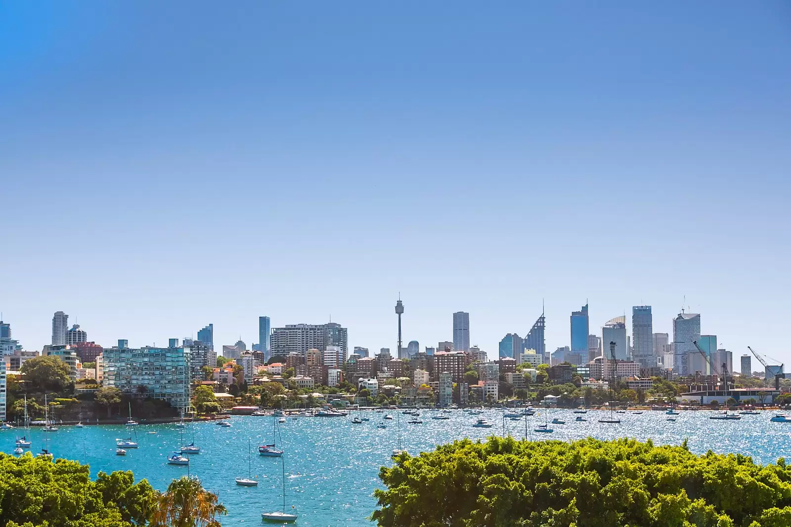5/57 Yarranabbe Road, Darling Point Sold by Sydney Sotheby's International Realty - image 8