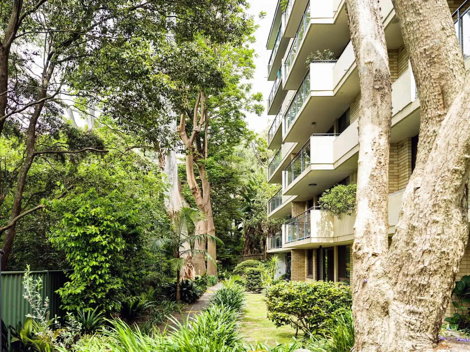 3/297-297A Edgecliff Road, Woollahra Leased by Sydney Sotheby's International Realty - image 7