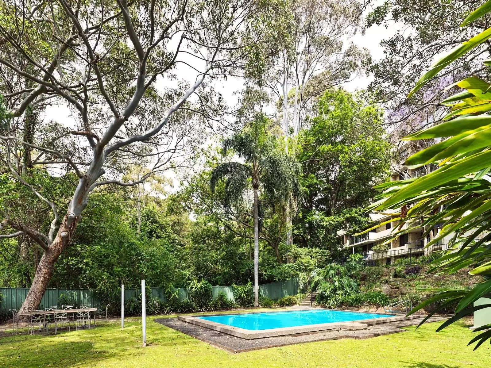 3/297-297A Edgecliff Road, Woollahra Leased by Sydney Sotheby's International Realty - image 6