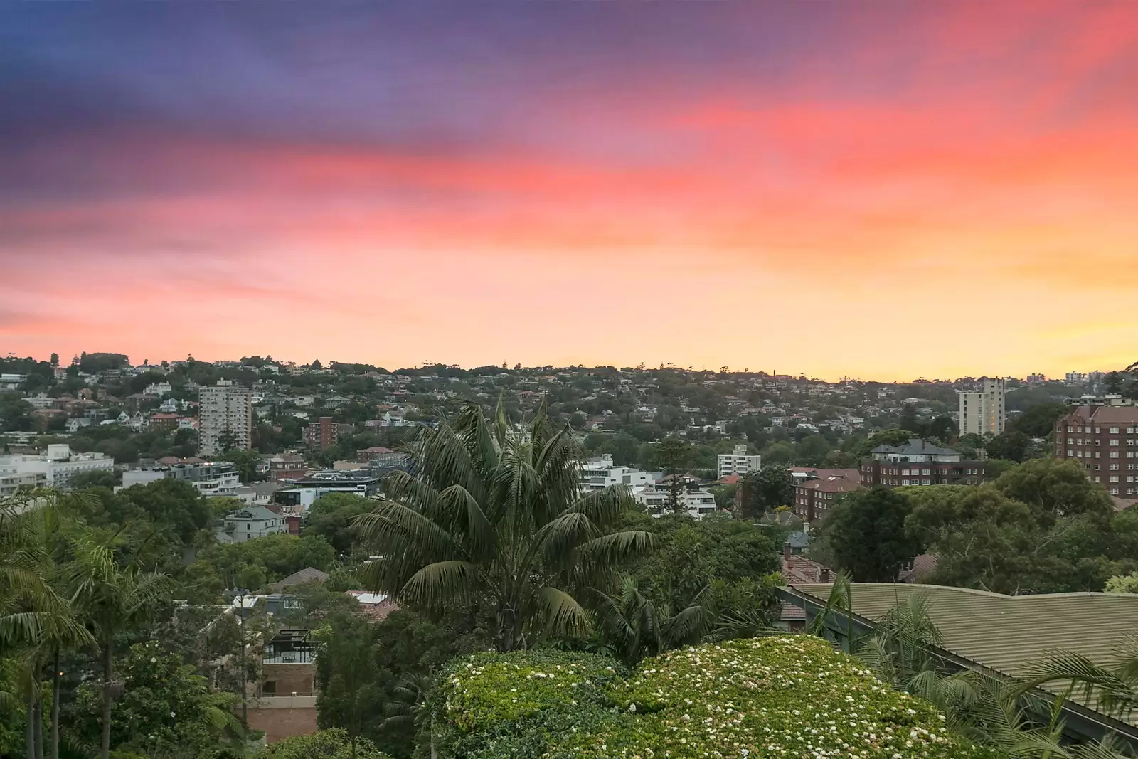 9/17 Greenoaks Avenue, Darling Point Sold by Sydney Sotheby's International Realty - image 5