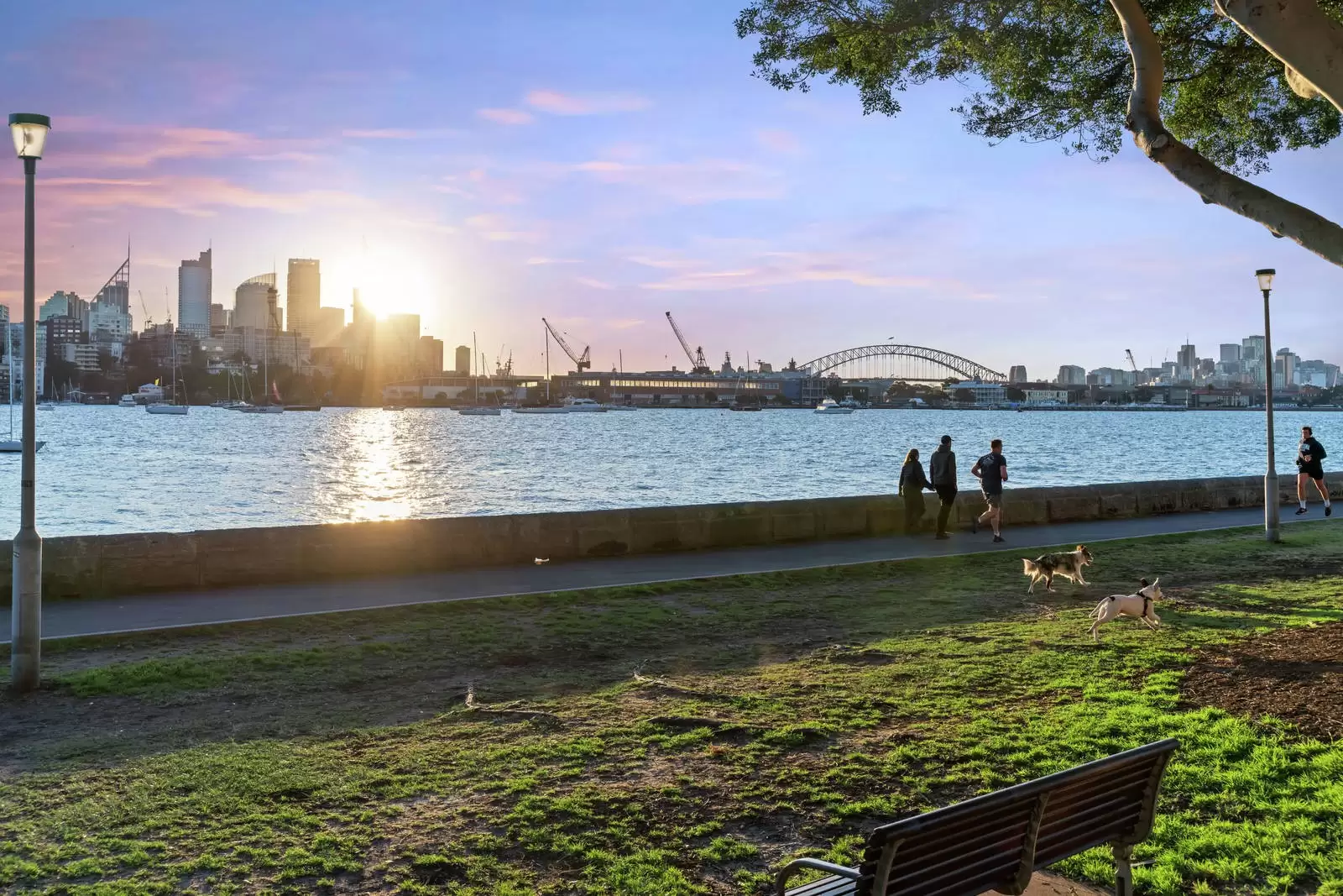 9/17 Greenoaks Avenue, Darling Point Sold by Sydney Sotheby's International Realty - image 18