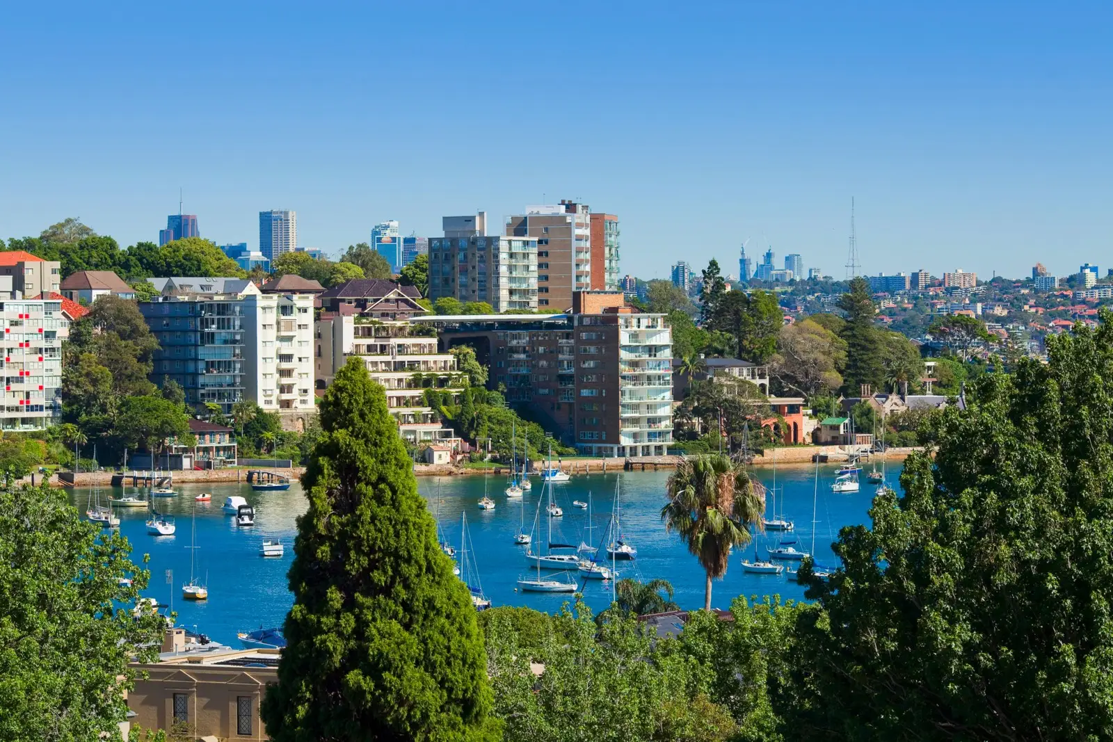 Penthouse 1, 515 New South Head Road, Double Bay Sold by Sydney Sotheby's International Realty - image 3
