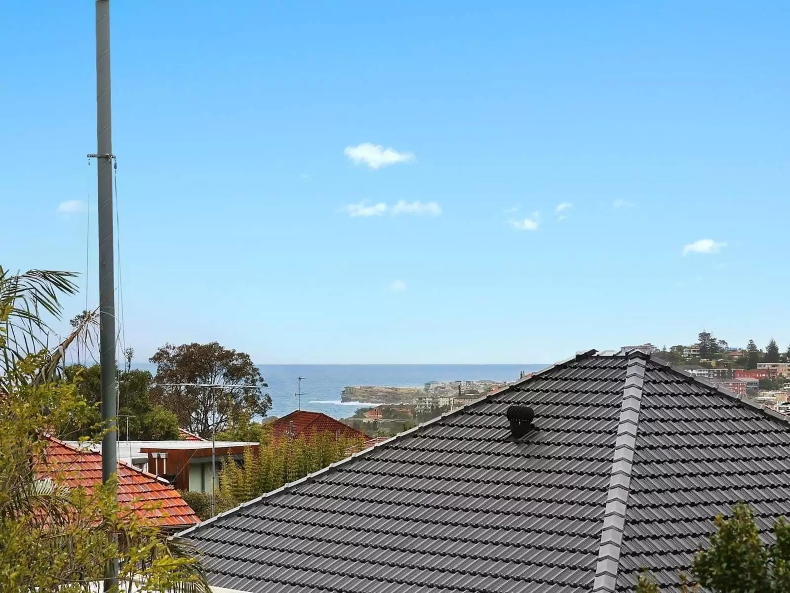 2/206 Clovelly Road, Clovelly Leased by Sydney Sotheby's International Realty - image 8