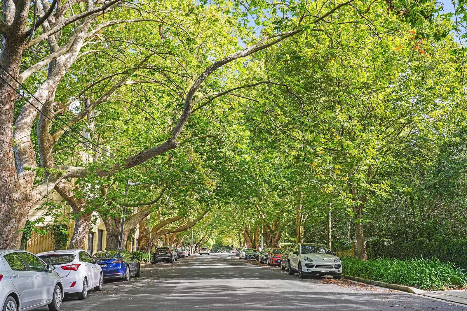 10/3 Rosemont Avenue, Woollahra Sold by Sydney Sotheby's International Realty - image 19