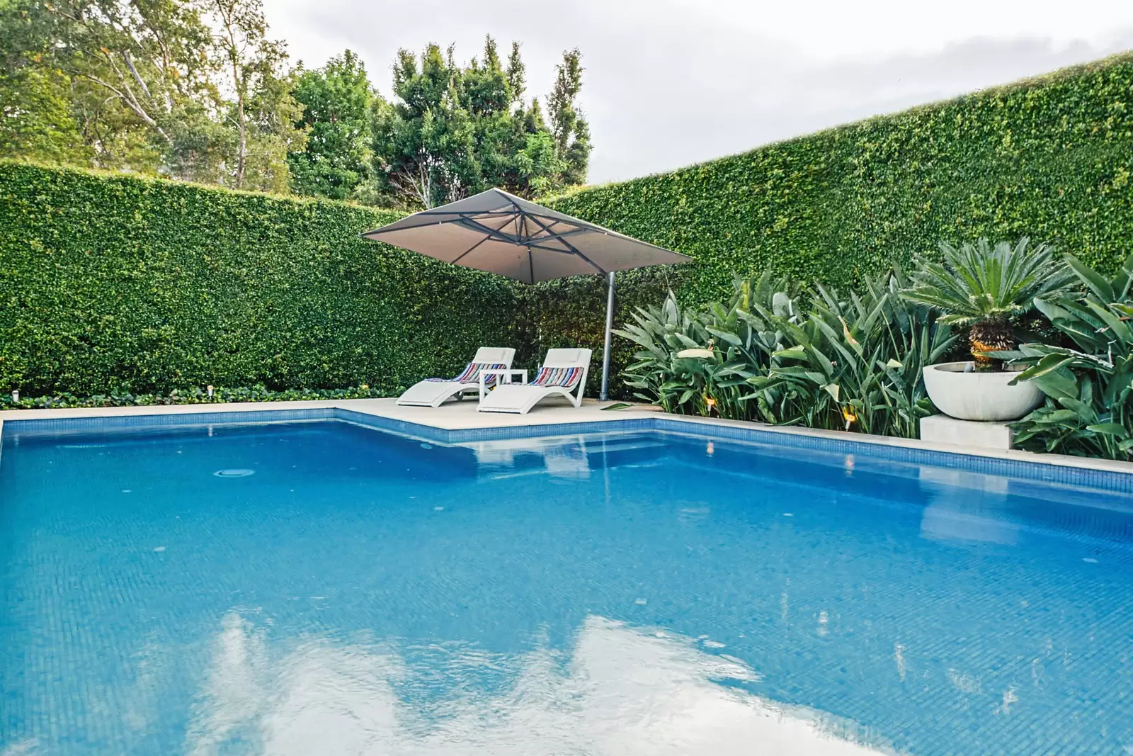 20 Springdale Road, Killara Sold by Sydney Sotheby's International Realty - image 10
