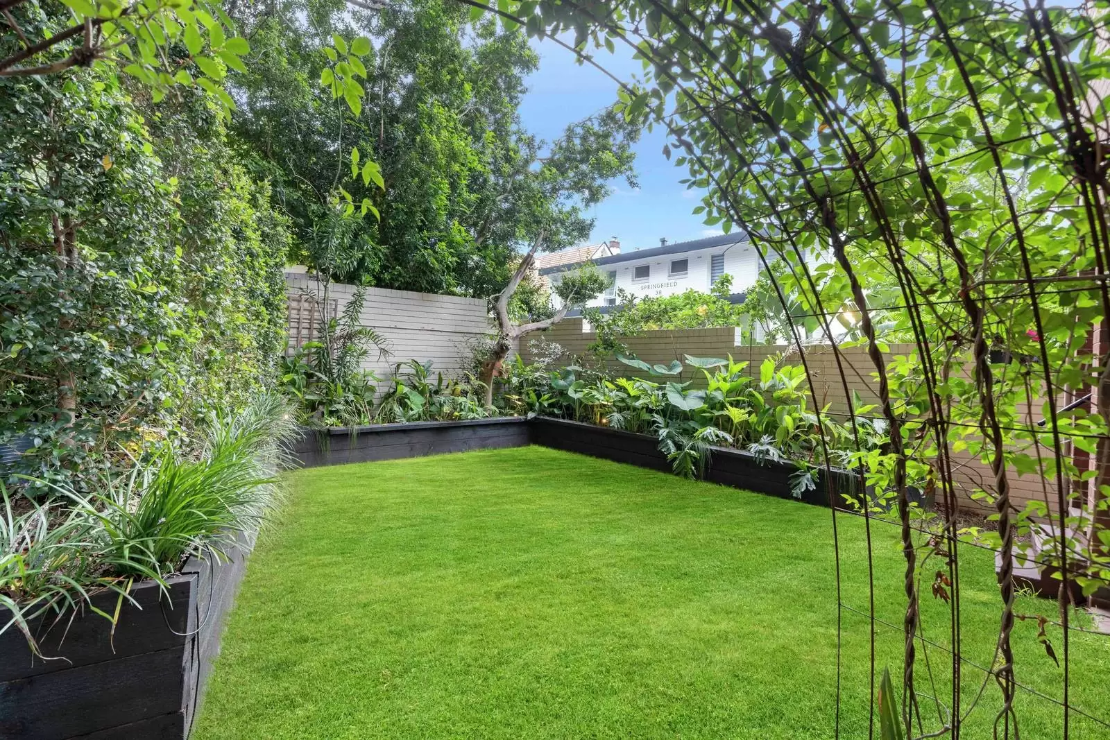 42A Darling Point Rd, Darling Point Leased by Sydney Sotheby's International Realty - image 14