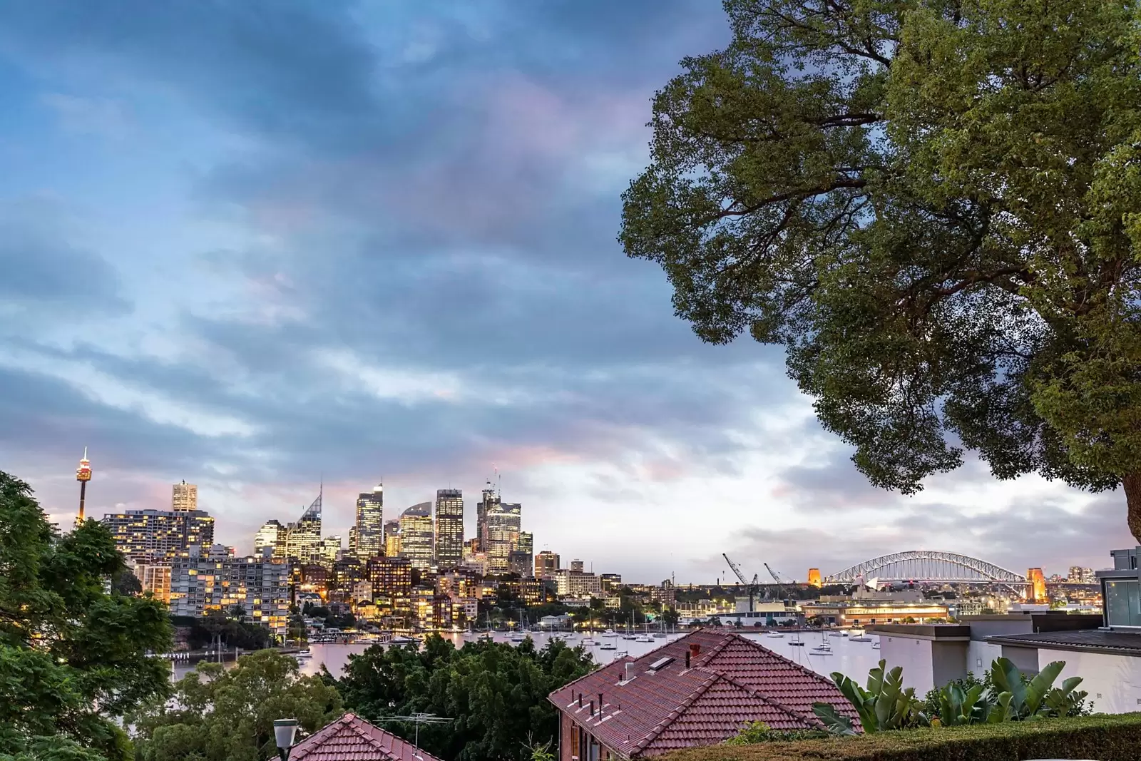 1/5 Goomerah Crescent, Darling Point Sold by Sydney Sotheby's International Realty - image 14