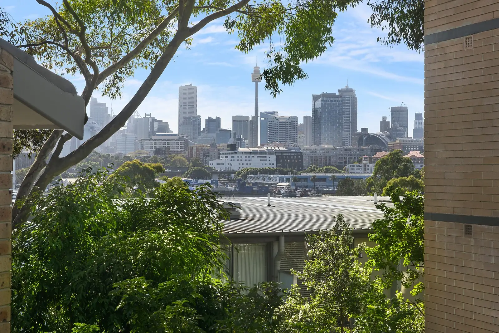 8/23-25 Cook Street (Entry Via Sheehy Street), Glebe Sold by Sydney Sotheby's International Realty - image 1