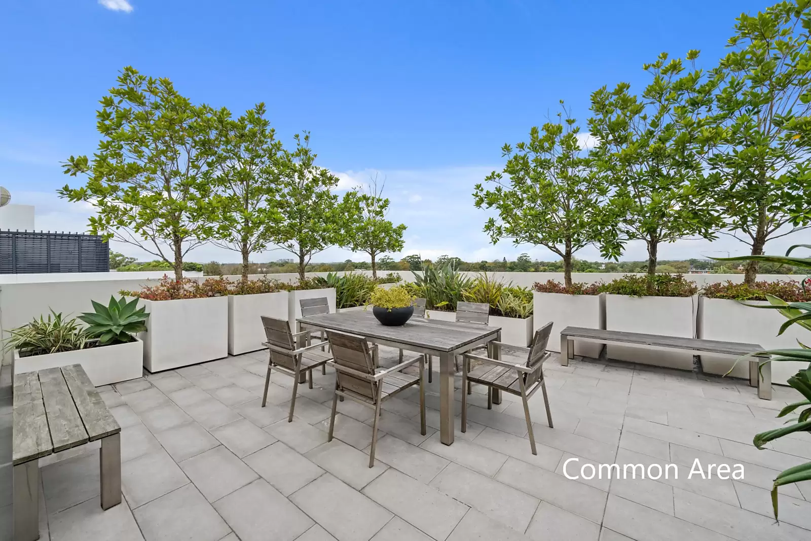 204/581 Gardeners Road, Mascot Sold by Sydney Sotheby's International Realty - image 7