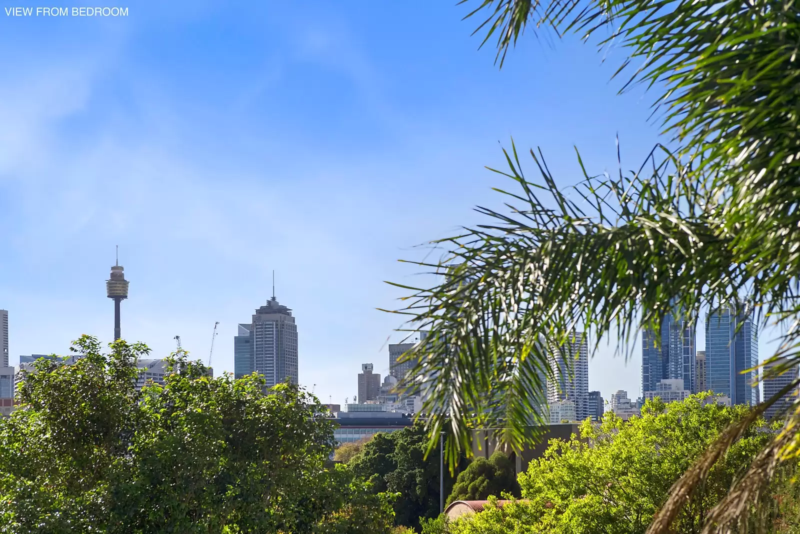 9 Cardigan Street, Glebe Sold by Sydney Sotheby's International Realty - image 11