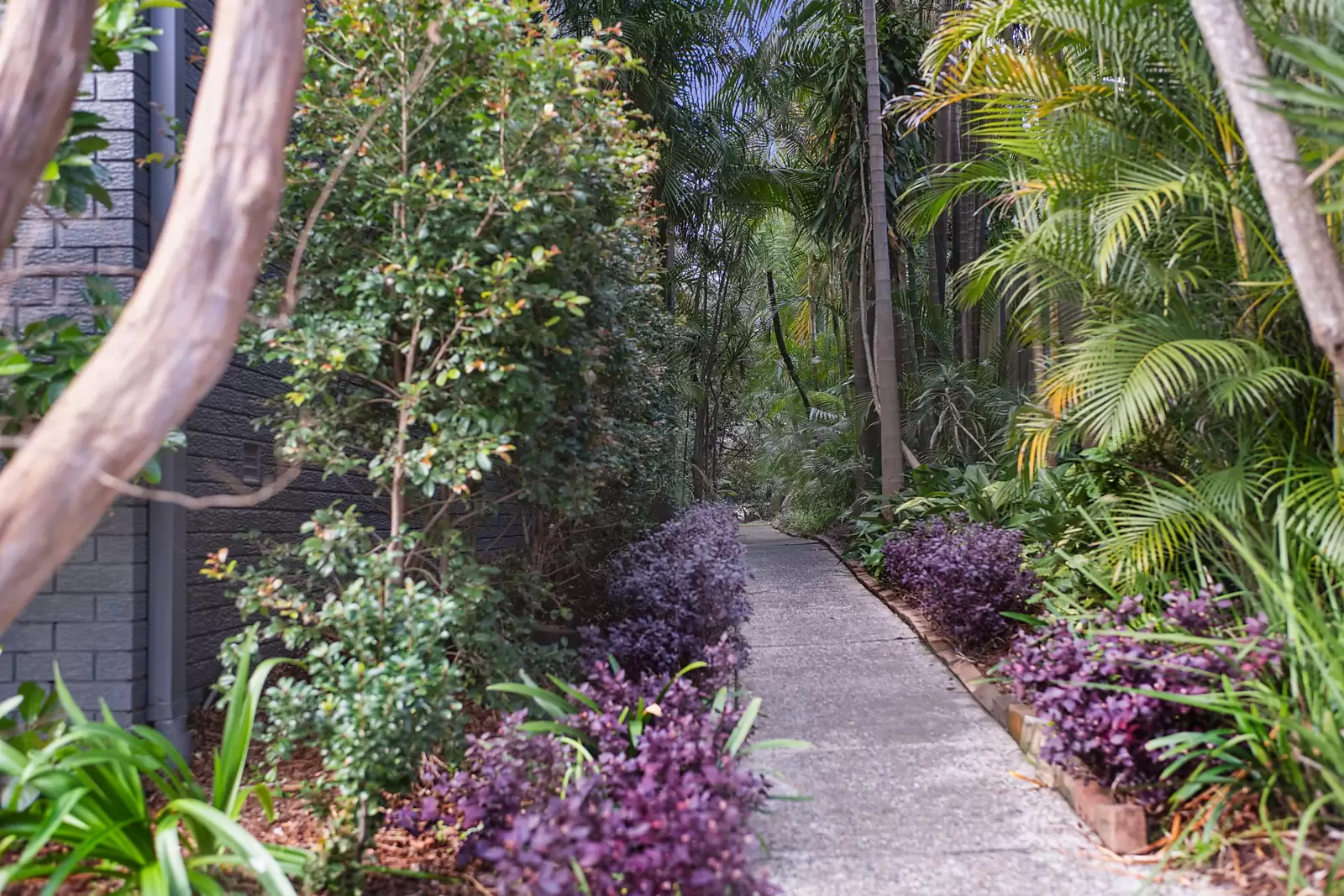 12/10 Leichhardt Street, Glebe Sold by Sydney Sotheby's International Realty - image 9