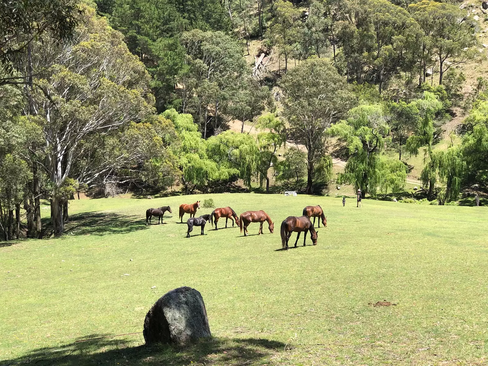 542A Peach Tree Road, Megalong Valley Sold by Sydney Sotheby's International Realty - image 3