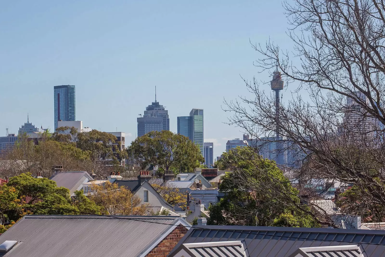 48 Wallis Street, Woollahra Leased by Sydney Sotheby's International Realty - image 8