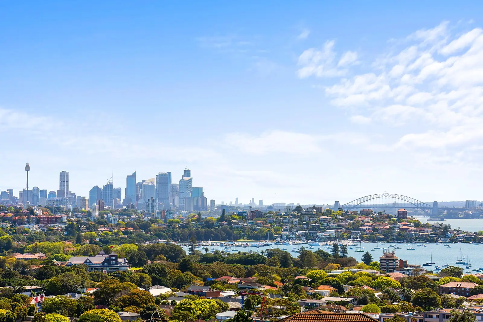 5 Wallangra Road, Dover Heights Sold by Sydney Sotheby's International Realty - image 1