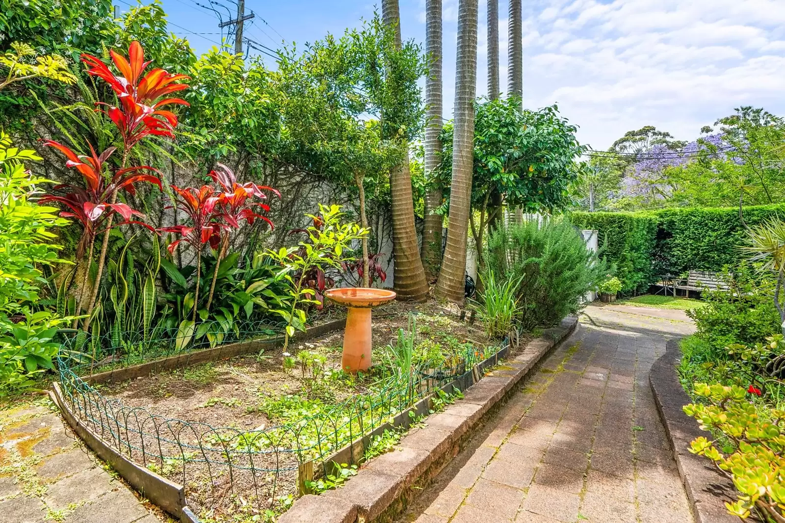 26 Attunga Street, Woollahra Sold by Sydney Sotheby's International Realty - image 3