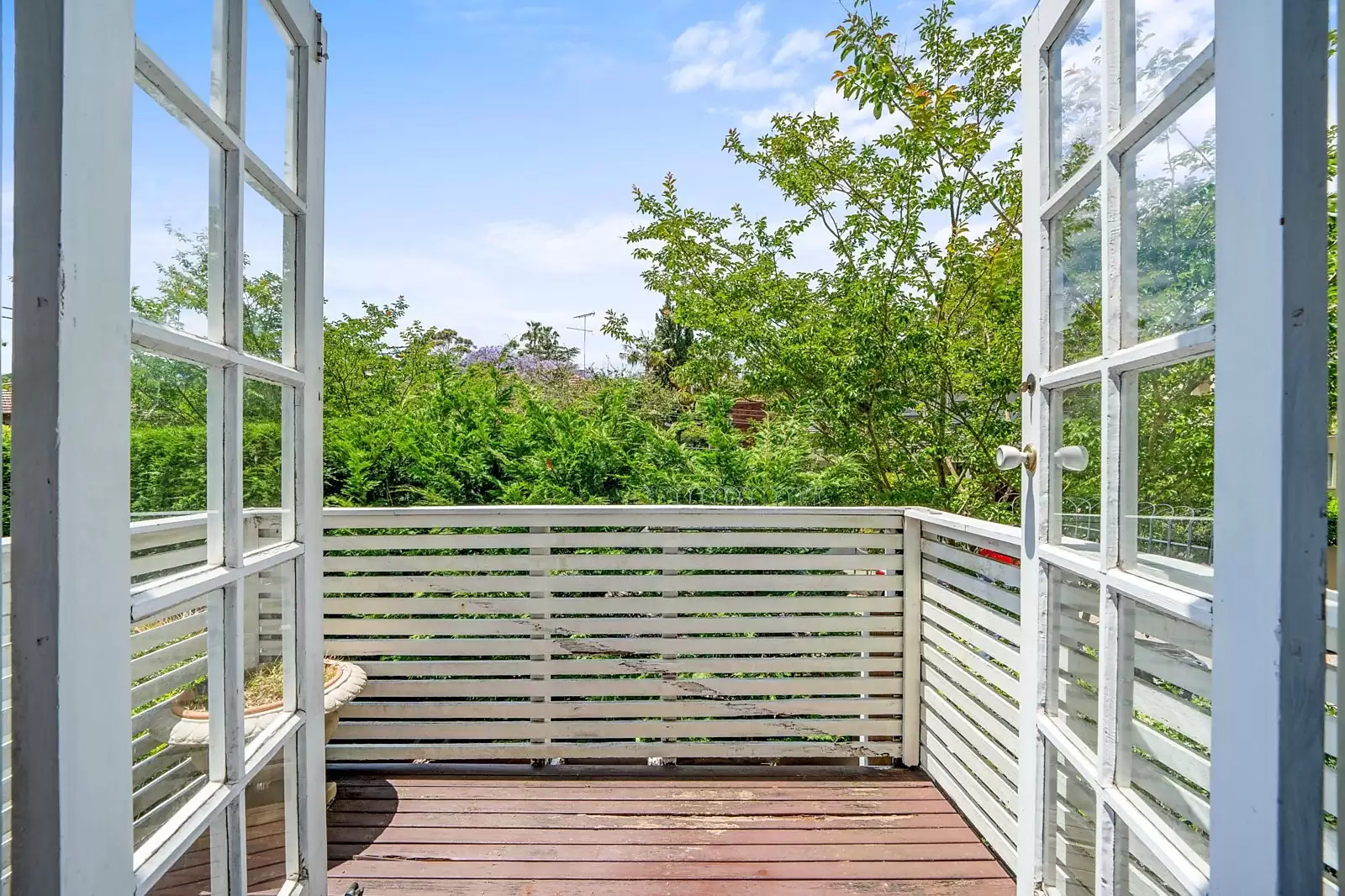 26 Attunga Street, Woollahra Sold by Sydney Sotheby's International Realty - image 6