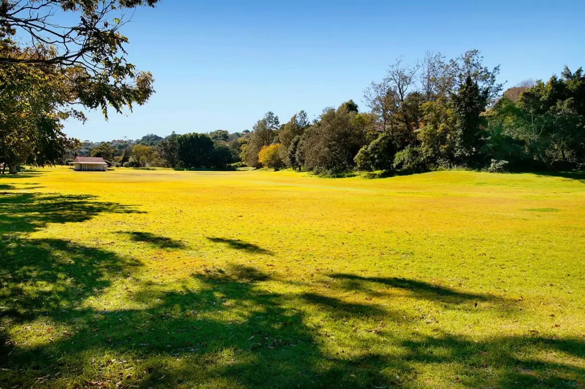 12 Attunga Street, Woollahra Sold by Sydney Sotheby's International Realty - image 15
