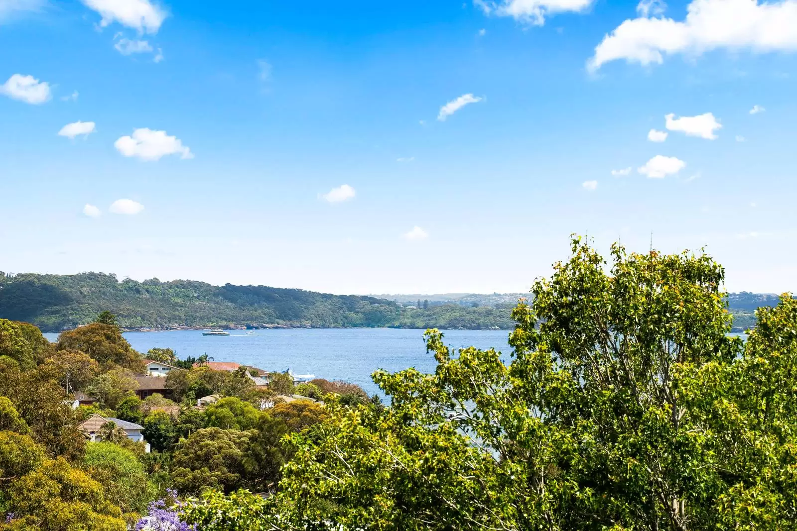 29 Parsley Road, Vaucluse Leased by Sydney Sotheby's International Realty - image 23
